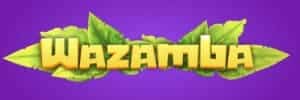 Blaze download apk